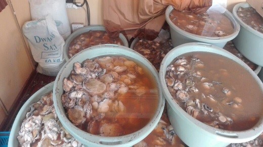 abalone drying facility2