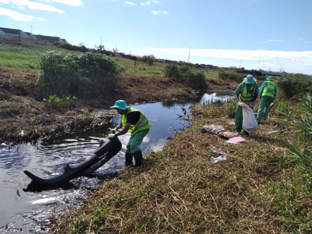 Blown Away – How we are preparing to weather the Cape of Storms.