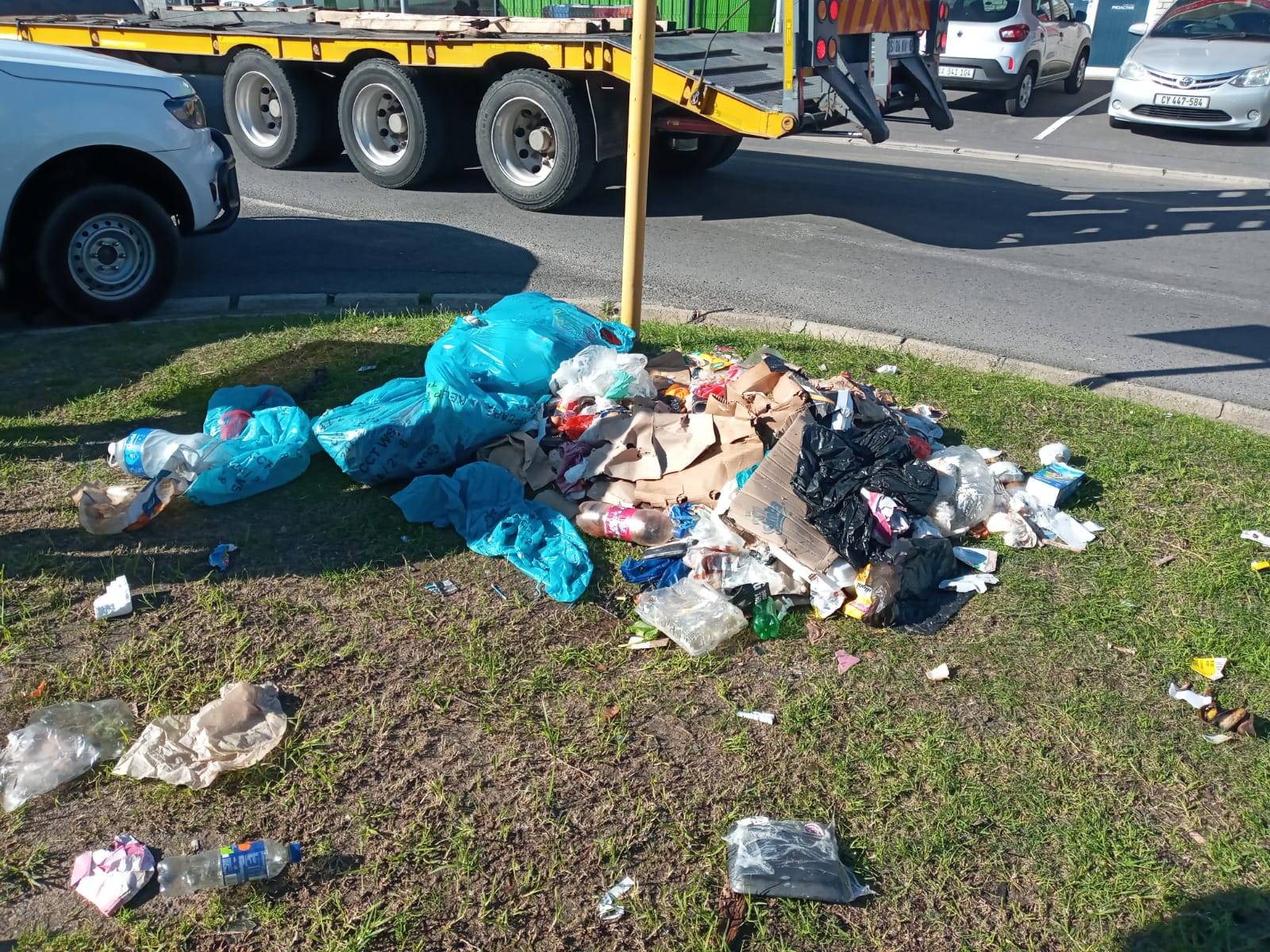 Illegal Dumping: What It Is and How to Stop It